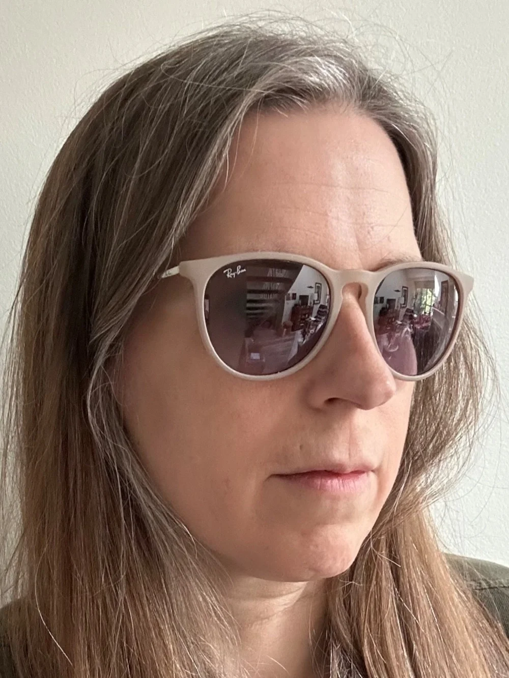 RayBan Erika sunglasses